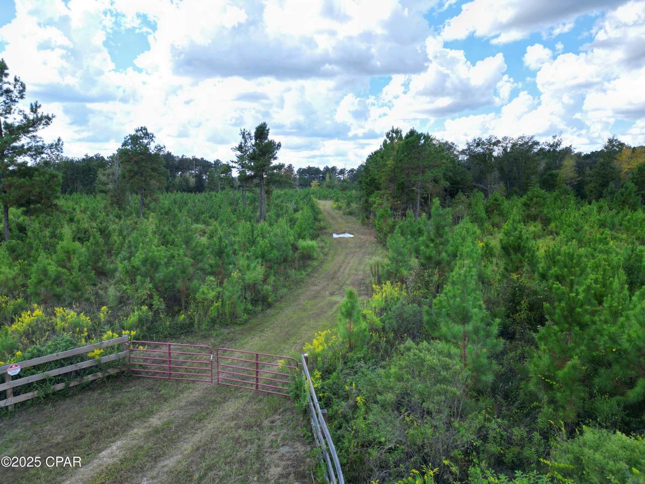 https://bt-photos.global.ssl.fastly.net/panamacity/1280_boomver_3_780436-2.jpg