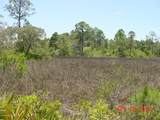 000 Clara Avenue - Photo 11