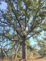 000 Clara Avenue - Photo 35