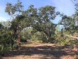 000 Clara Avenue - Photo 42
