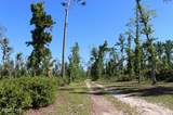 10012 Windsong Way - Photo 61