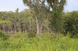 21558 Lake Mckenzie Boulevard - Photo 1