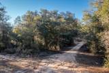 Lot 11 Bent Oaks Road - Photo 2