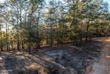 Lot 11 Bent Oaks Road - Photo 4