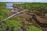 7642 Coastal Hammock Trail - Photo 3