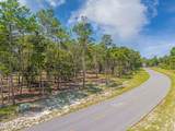1709 Lost Cove Lane - Photo 11