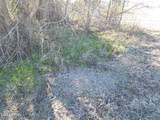 00 Mimosa - Photo 53