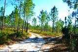 19732 Timbercrest Road - Photo 17