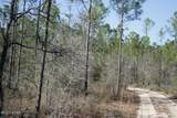 19732 Timbercrest Road - Photo 34