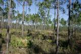 19732 Timbercrest Road - Photo 36