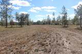 5015 County Road 274 - Photo 5