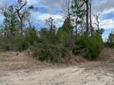 11630 County Line Road - Photo 3