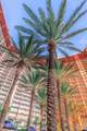 9900 Thomas Drive - Photo 54