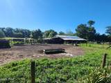 4539 Bartow Road - Photo 31