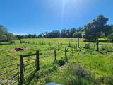 4539 Bartow Road - Photo 36