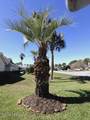 117 Hombre Circle - Photo 37