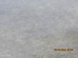 2963 County Road 274 - Photo 11