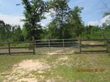 2963 County Road 274 - Photo 28