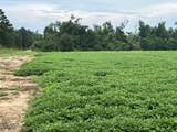 2183 Highway 73 Road - Photo 11