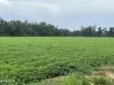 2183 Highway 73 Road - Photo 12