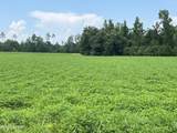 2183 Highway 73 Road - Photo 7