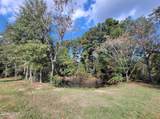 3485 Kelly Street - Photo 31