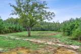 Lot 2 Reddick Mill Road - Photo 20