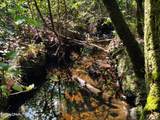 00 Noland Pond Road - Photo 7