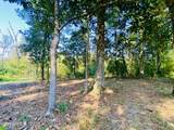 233 Skeeter Road Road - Photo 43