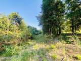 233 Skeeter Road Road - Photo 44