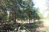 4667 Lake Shore Boulevard - Photo 11