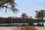 4667 Lake Shore Boulevard - Photo 38