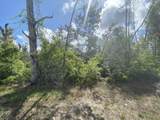 405 Meadowview Terrace - Photo 2