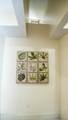1619 Dayflower Drive - Photo 49