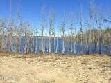 207 Compass Lake Drive - Photo 8