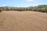 2864 Clayton Road - Photo 57