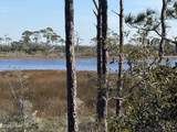 TBD Cape San Blas Road - Photo 12