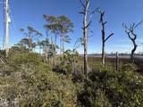TBD Cape San Blas Road - Photo 2