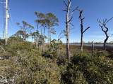 TBD Cape San Blas Road - Photo 3