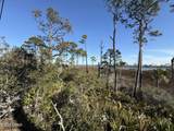 TBD Cape San Blas Road - Photo 7