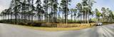 8541 Preservation Drive - Photo 7
