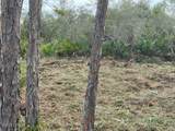 Lot 6 Cape San Blas Rd - Photo 3