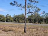 4135 Pine Log Road - Photo 6