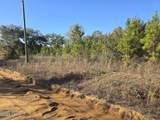 TBD Lot 1 Peanut Road - Photo 10