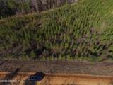 TBD Lot 1 Peanut Road - Photo 11