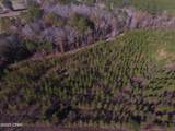 TBD Lot 1 Peanut Road - Photo 12