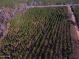 TBD Lot 1 Peanut Road - Photo 18
