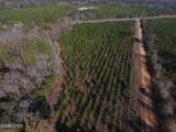 TBD Lot 1 Peanut Road - Photo 23
