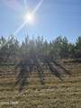 TBD Lot 1 Peanut Road - Photo 4