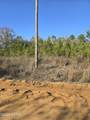 TBD Lot 1 Peanut Road - Photo 8